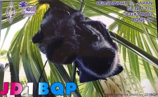 DX: JD1BQP - Ilhas Ogasawara